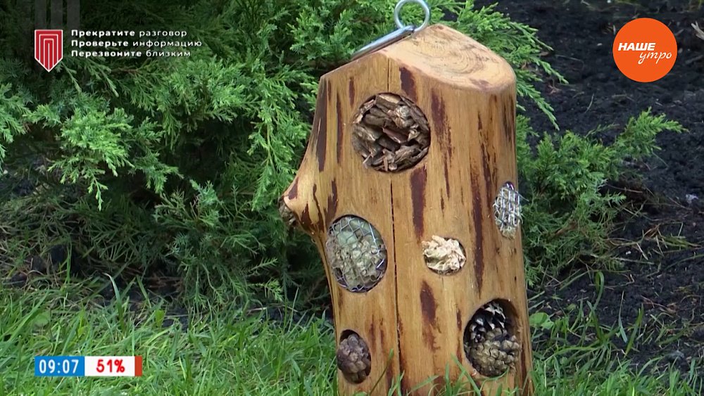 Каждой букашке — уютную квартиру в рубрике «Руки садовода»