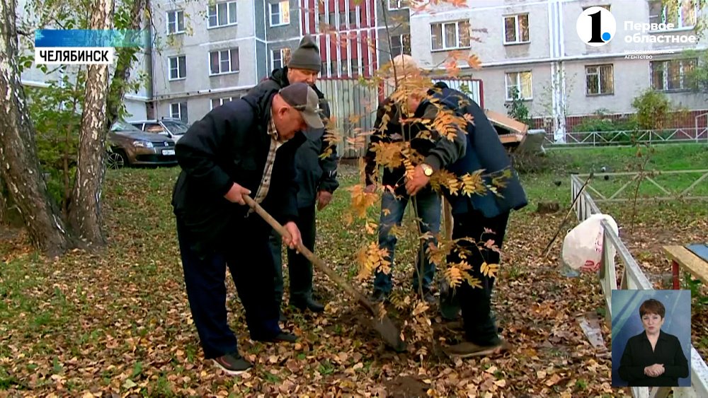 Челябинские пенсионеры высадили полсотни слив и вишен