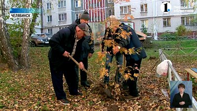 Челябинские пенсионеры высадили полсотни слив и вишен