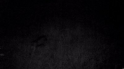 В нацпарке «Таганай» фотоловушка зафиксировала лосиное признание в любви