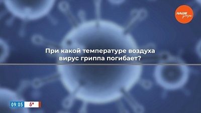 Грипп и погодные условия в рубрике «ПереГРИППуем!»
