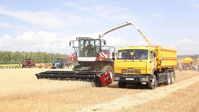 Аграрии Челябинской области получат компенсации за погибшие посевы из‑за летних дождей