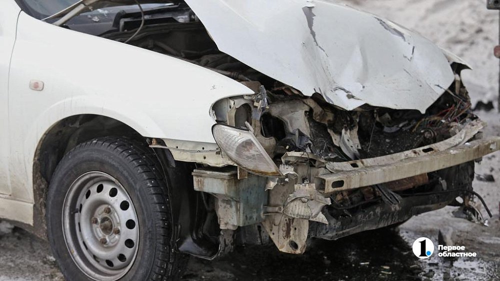 В Минэкологии рассказали, что делать при ДТП с лосем в Челябинской области