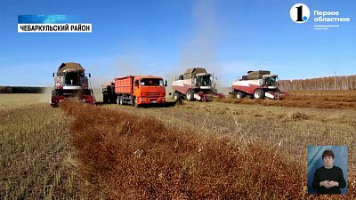 В Чебаркульском районе завершается уборочная кампания