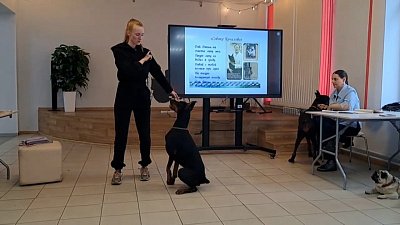 В Челябинске в библиотеке проходят кинологические встречи