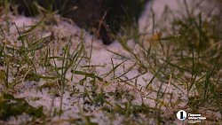 Города Челябинской области накрыло первым снегом в октябре