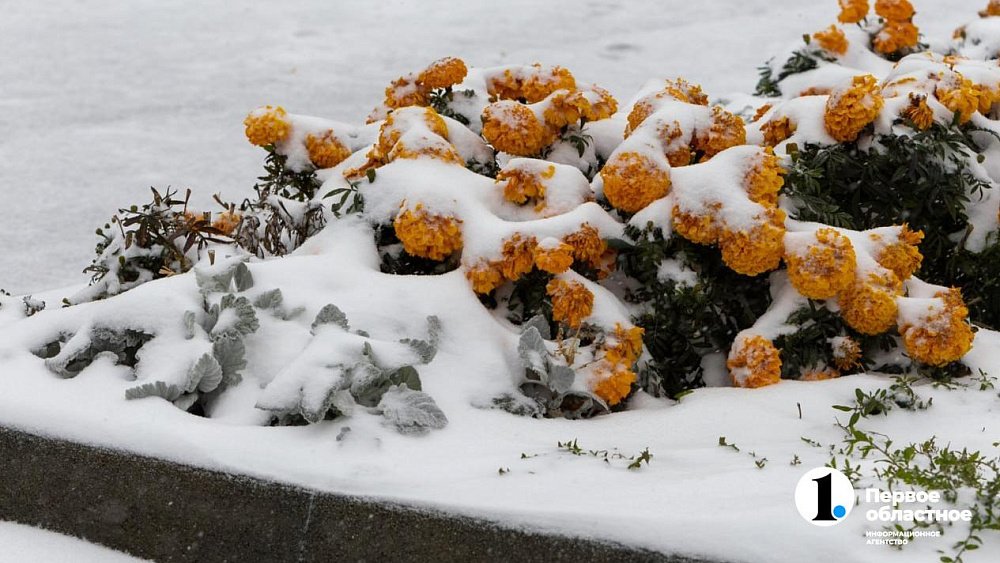 Челябинскую область ждет аномальное похолодание