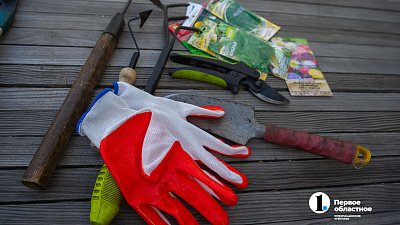 Эксперт рассказала о подготовке растений к зиме в челябинских садах