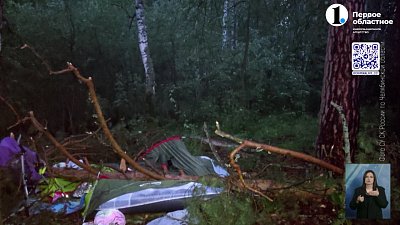 В Миассе будут судить сотрудника ФБУ «Рослесозащита»