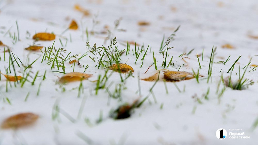 Какая будет зима: приметы на Покров Пресвятой Богородицы