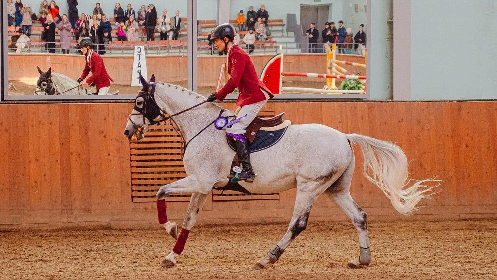 Всадники из шести регионов поборются за Кубок губернатора Челябинской области по конкуру
