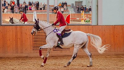 Всадники из шести регионов поборются за Кубок губернатора Челябинской области по конкуру