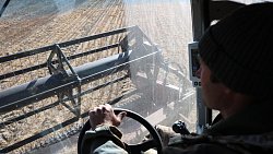 Первый в Челябинской области комбайн на гусеничном ходу помогает убирать урожай