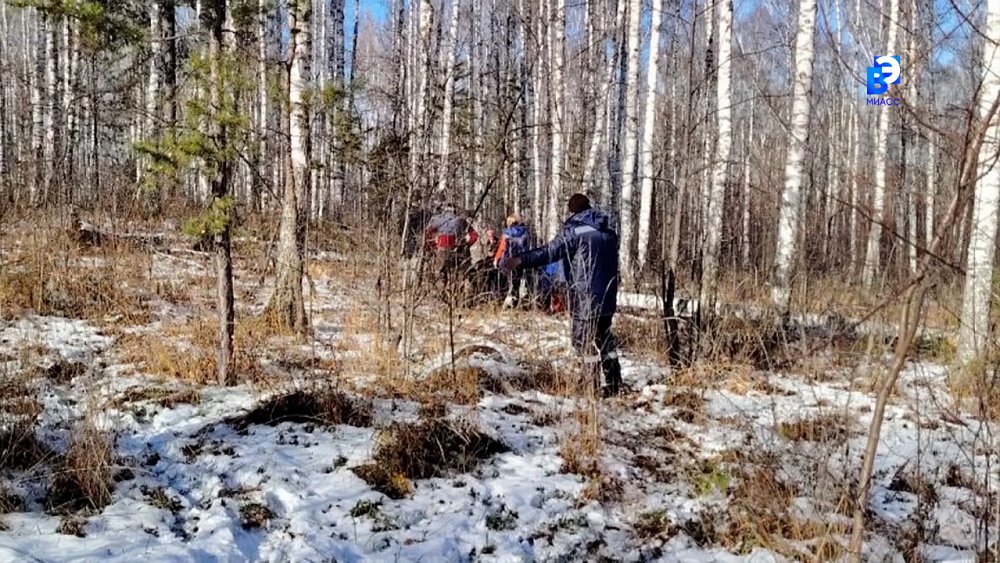 В лесу травмировался житель Миасса