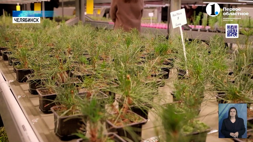 Что сейчас находится на месте бывшей Челябинской свалки? 