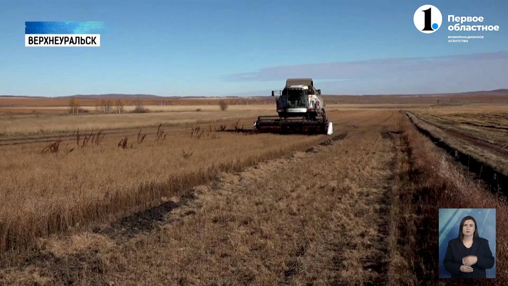 Верхнеуральский фермер купил гусеничный комбайн