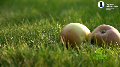 В новом выпуске «Зеленой передачи» консервируем сад и дачу