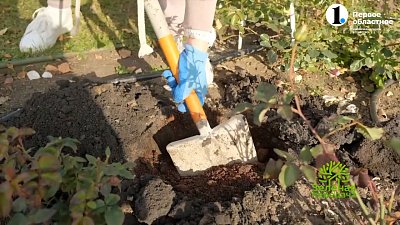 Организация прикопа