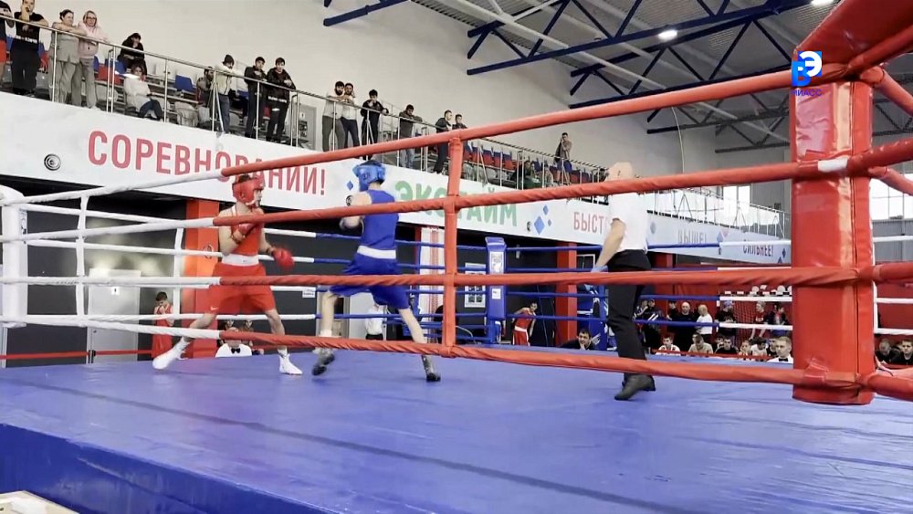 Олимпийские надежды со всей области собрались в Миассе