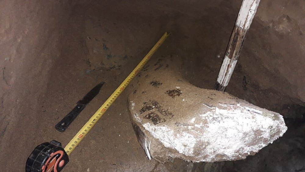 Под Челябинском подняли из земли метровый осколок бивня древнего животного