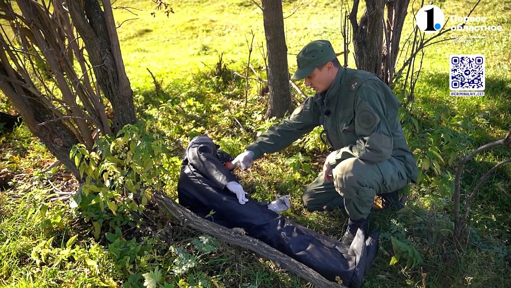 Следователь-криминалист: работа от и до