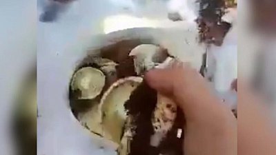 Жители Челябинской области ищут грибы под снегом