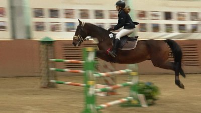 В Челябинске прошли состязания по конкуру