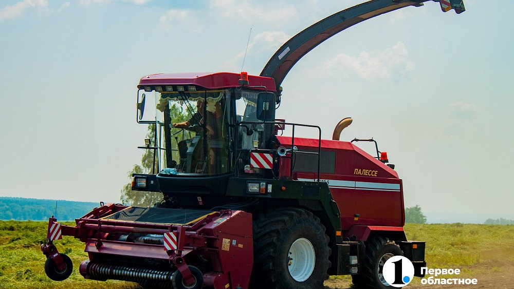 На Южном Урале поставлен исторический рекорд по намолоту пшеницы твердых сортов