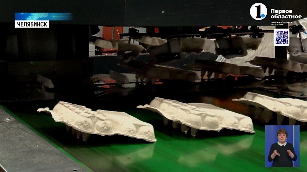 В Челябинске из макулатуры производят упаковку для яиц