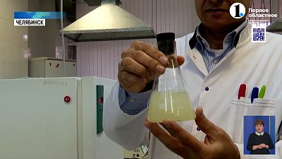 Ученый ЮУрГУ создал йогурт из лактобактерий пчел