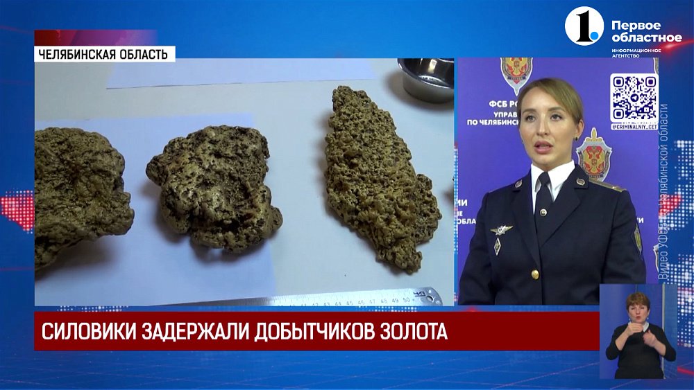 В регионе задержали банду золотодобытчиков