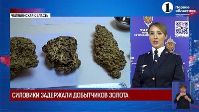 В регионе задержали банду золотодобытчиков