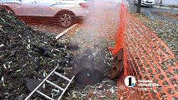 Алексей Лошкин: «Не надо людей перепинывать, мы тут не в футбол играем»