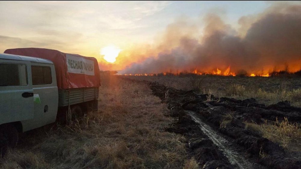 В 60 раз уменьшилась площадь лесных пожаров на Южном Урале в 2024 году