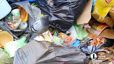 Жители Челябинска приносят мусор к несуществующим контейнерам