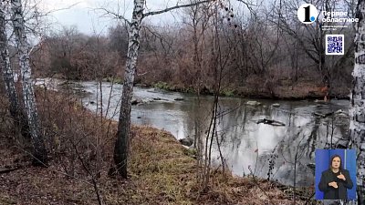 В Каштакском бору появится функциональная зона