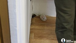 Челябинские художники приоткрыли двери в свою обитель