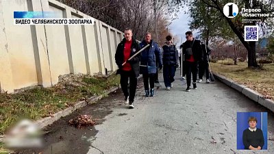 Будущие футболисты пришли на уборку в зоопарк