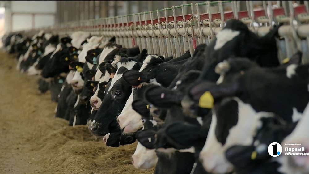 Аграрии Южного Урала получат больше господдержки