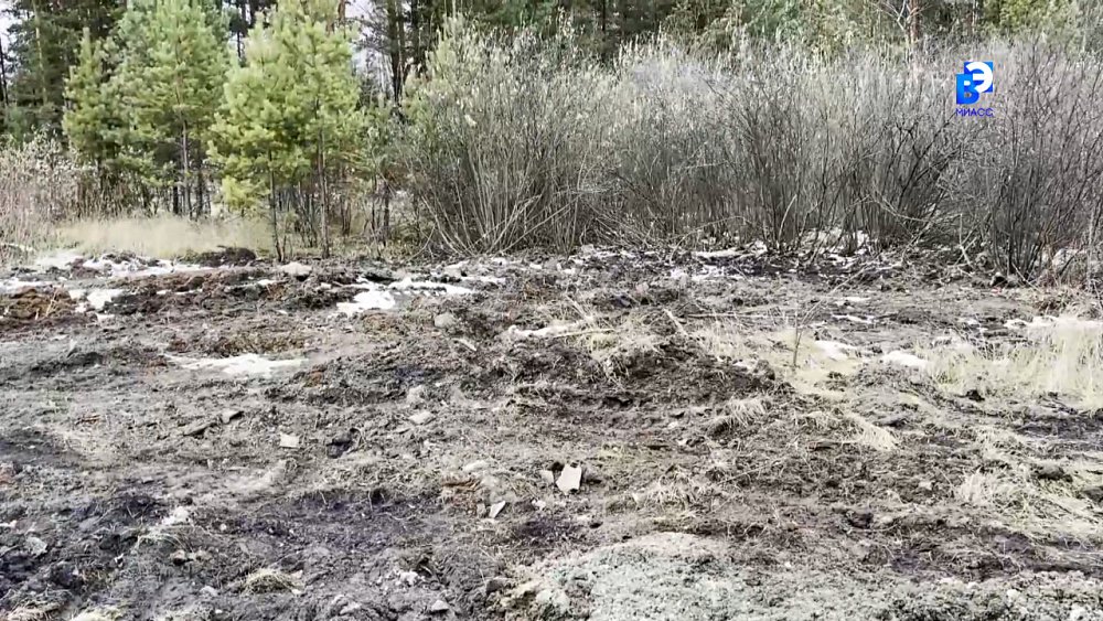 В Миассе проверили состояние ликвидированных свалок