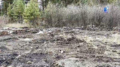 В Миассе проверили состояние ликвидированных свалок