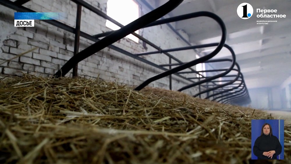 Алексей Текслер принял решение об увеличении финансовой поддержки южноуральских аграриев