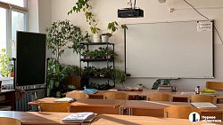 Жестами можно передать любые эмоции: сурдопереводчики из Челябинска о своей работе