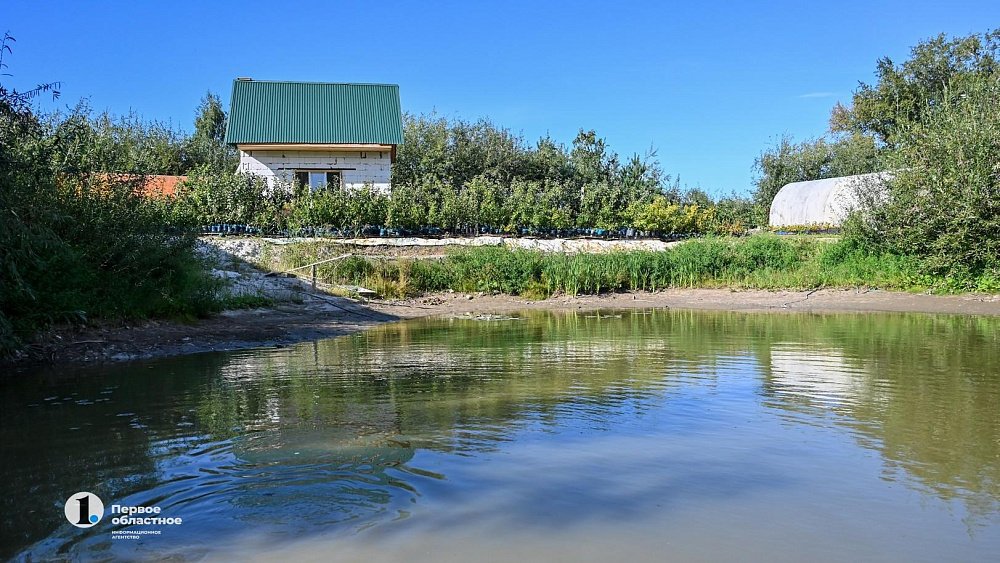 Добровольцы СВО, содействующие Росгвардии, смогут получить бесплатный земельный участок в Челябинской области