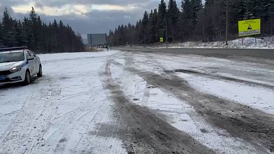 Южноуральцев просят быть бдительнее за рулем автомобилей