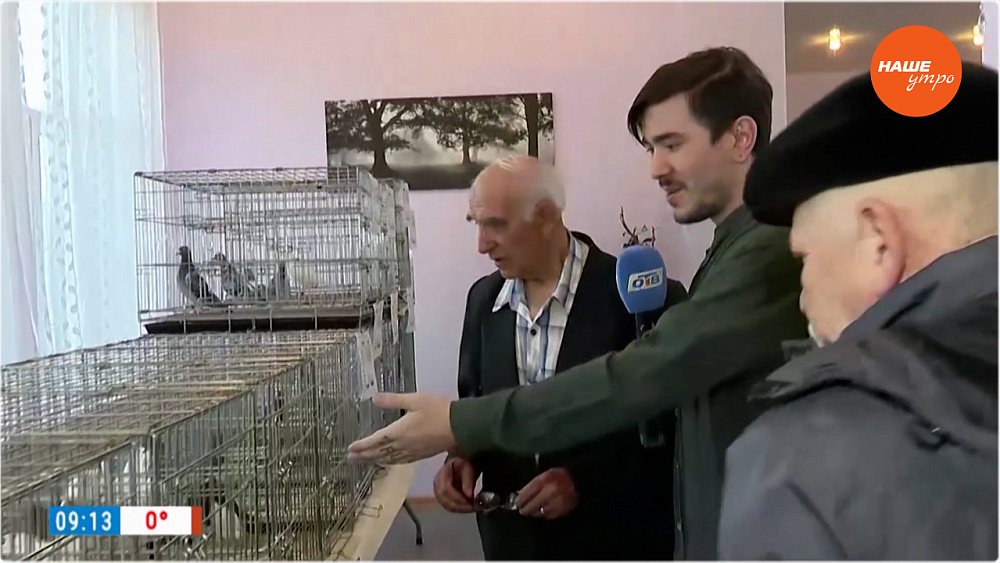 Выставка голубей в «Прямом включении»