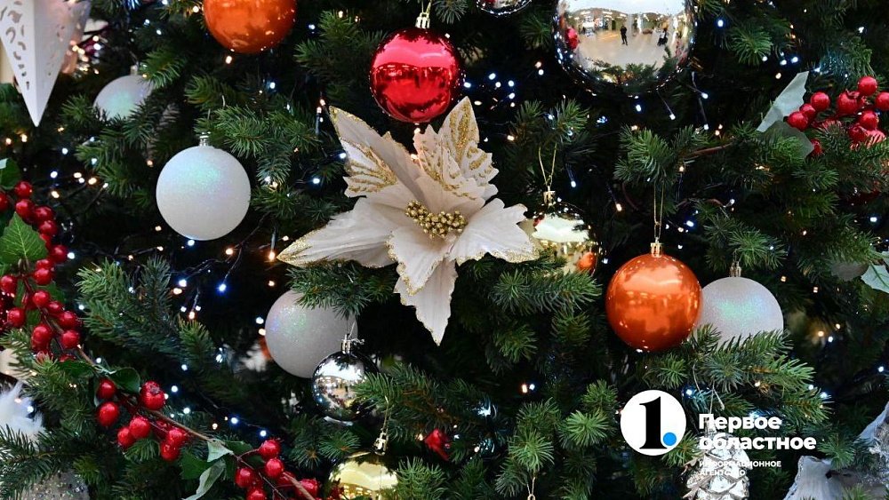 В Челябинске дети участников СВО получат новогодние подарки