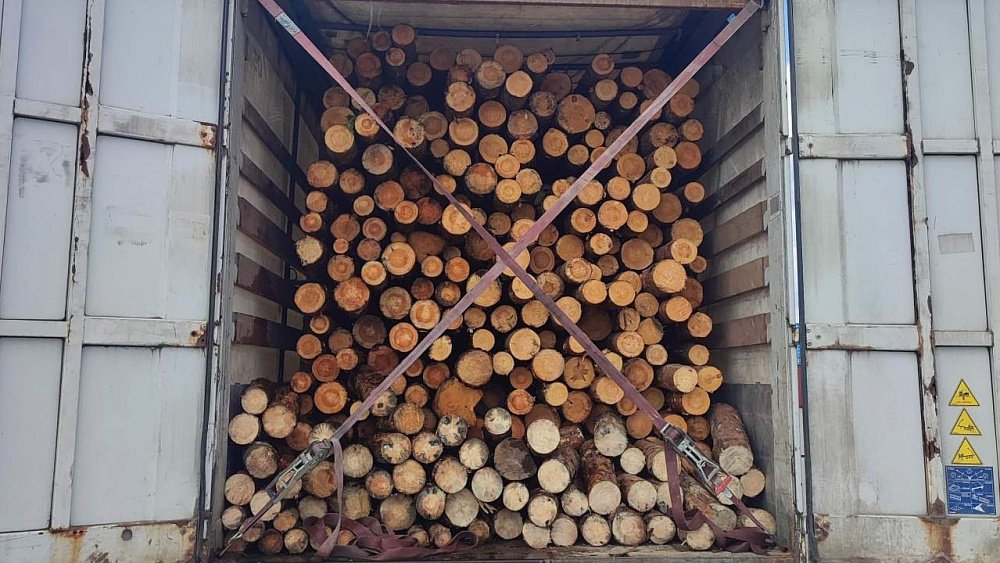 Челябинские таможенники задержали три фуры с дровами на российско-казахстанской границе