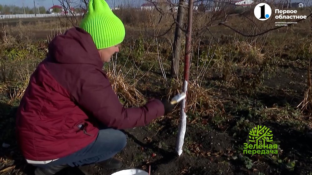 Время нанести серьезный удар по вредителям и болезням