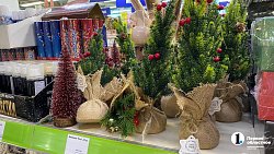 Во сколько южноуральцам обойдется нарядить елку к 2025 году